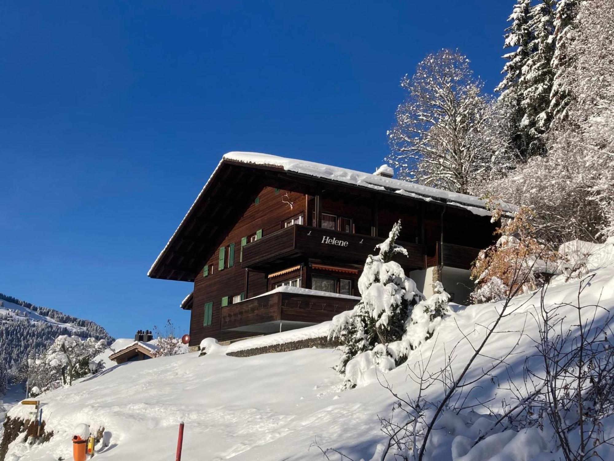 Apartment Helene Apt- Hella By Interhome Wengen Exterior photo